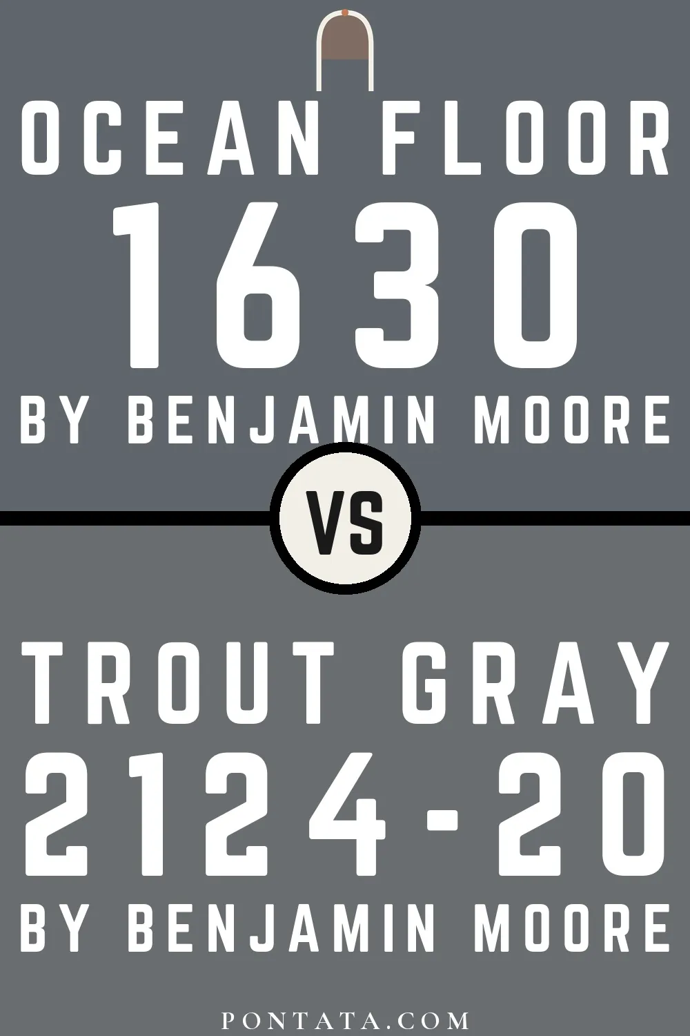 Ocean Floor vs Trout Gray