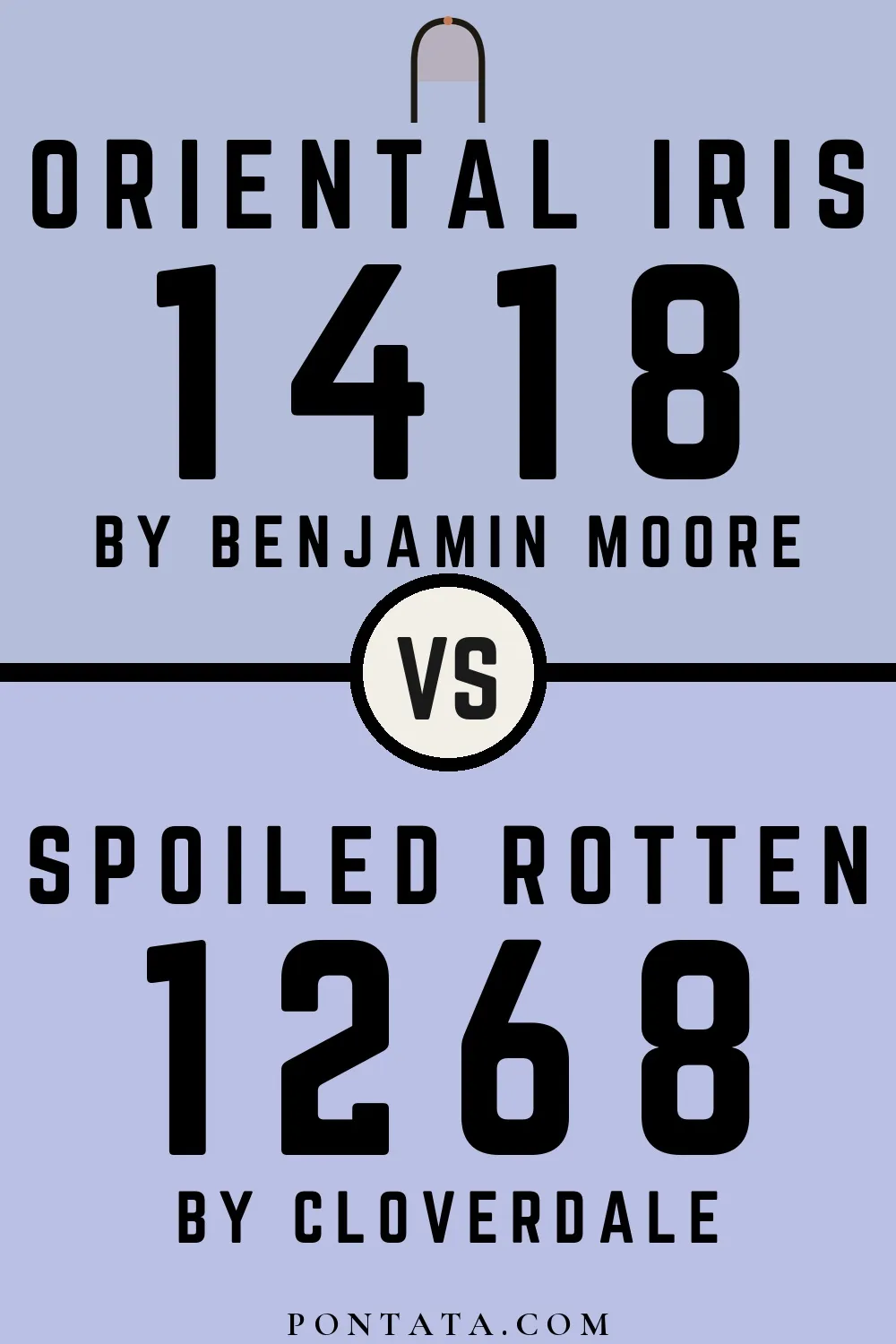 Oriental Iris vs Spoiled Rotten