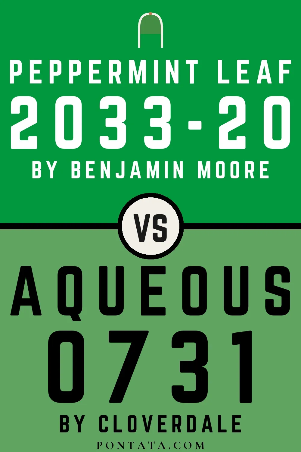 Peppermint Leaf vs Aqueous