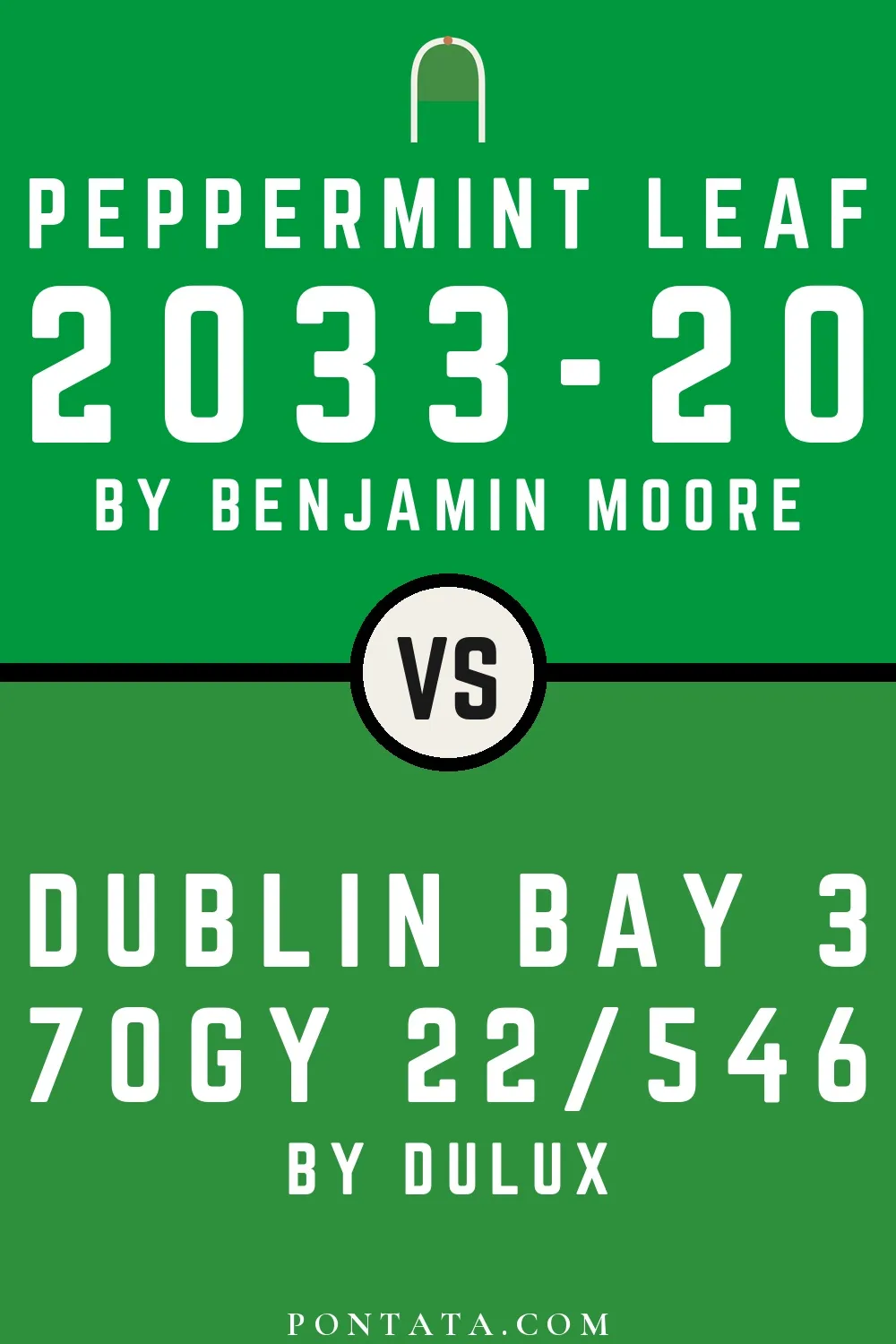 Peppermint Leaf vs Dublin Bay 3