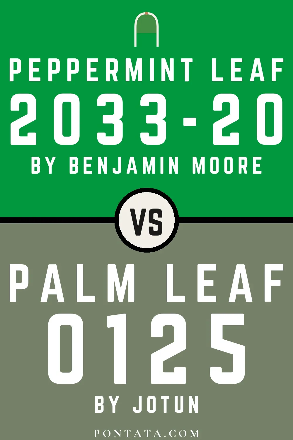 Peppermint Leaf vs Palm Leaf