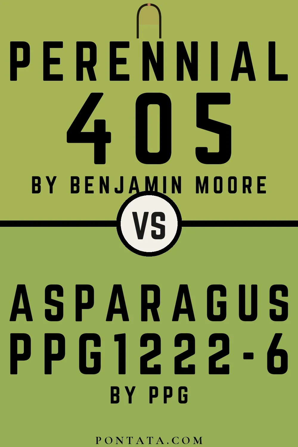 Perennial vs Asparagus