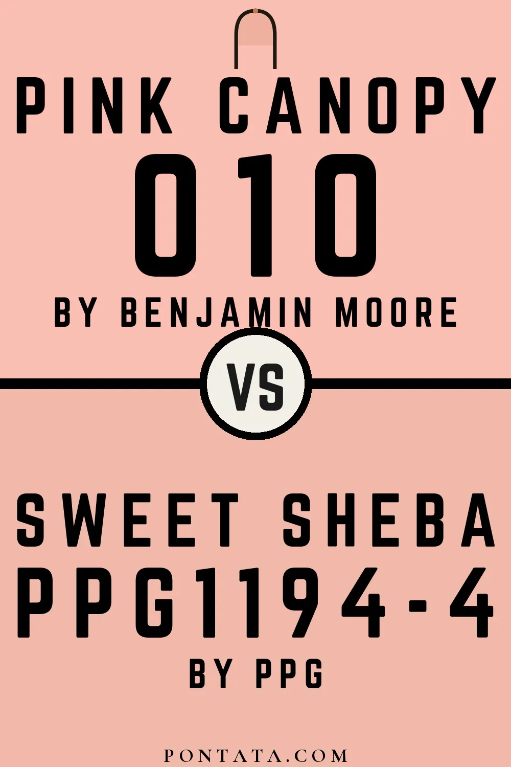 Pink Canopy vs Sweet Sheba