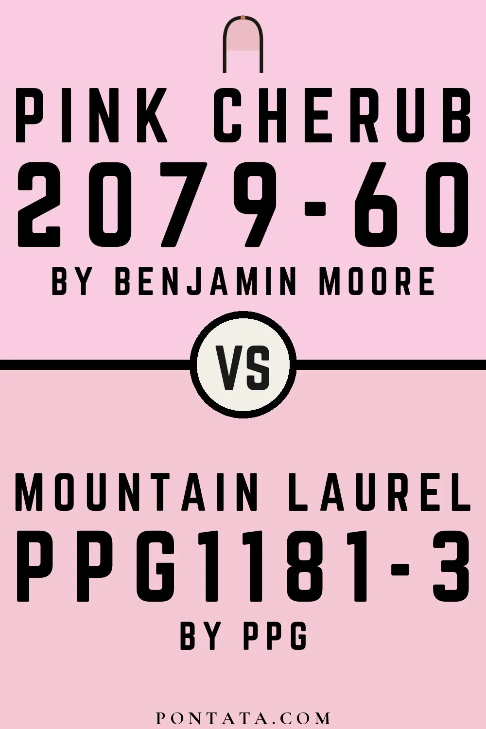 Pink Cherub vs Mountain Laurel