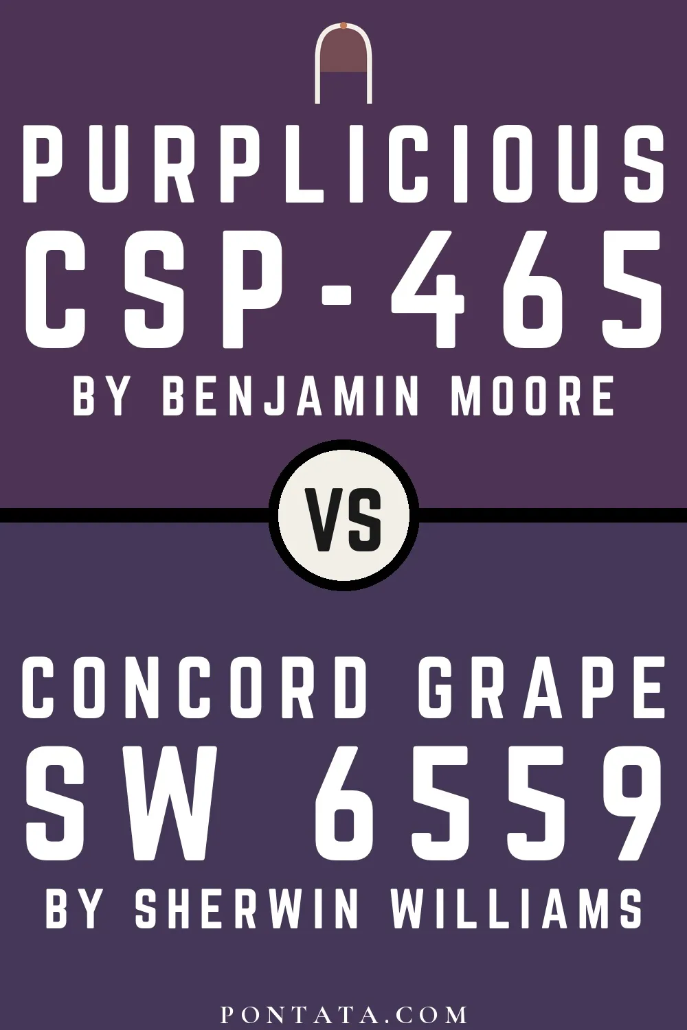 Purplicious vs Concord Grape