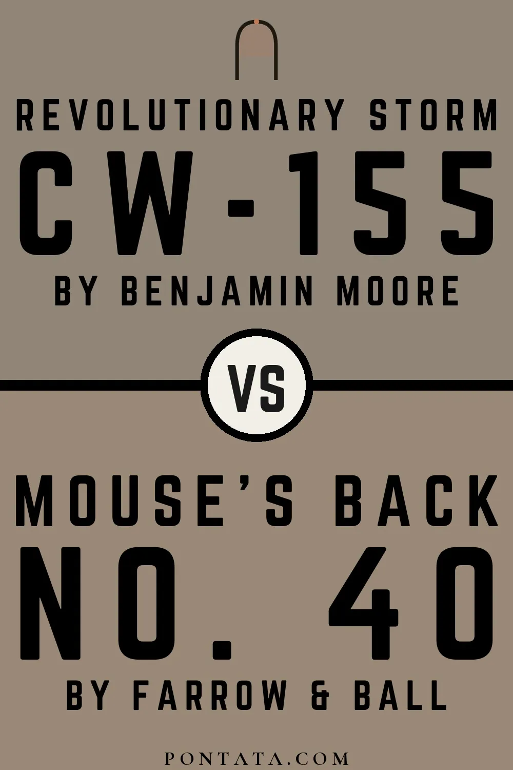Revolutionary Storm vs Mouse's Back