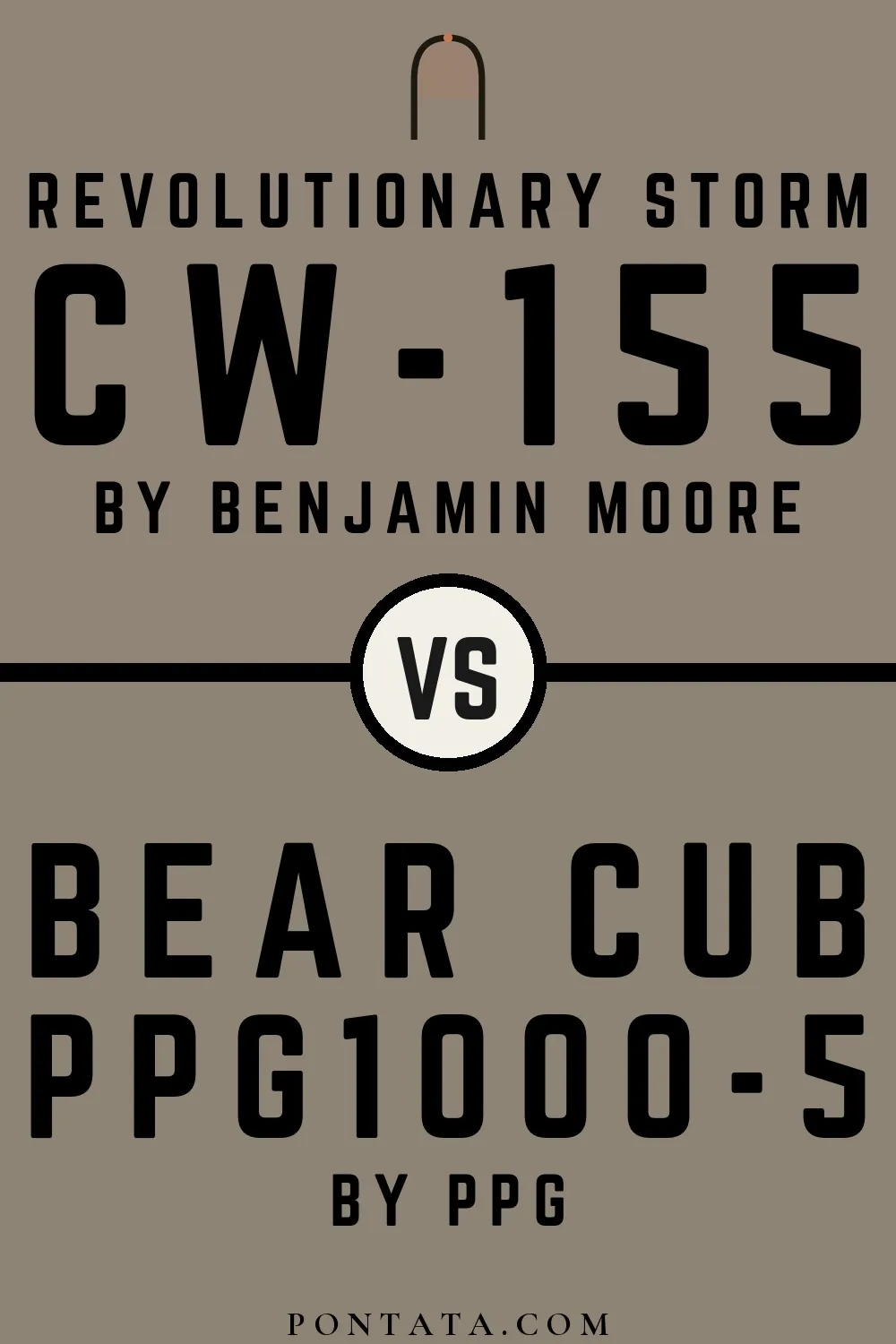 Revolutionary Storm vs Bear Cub