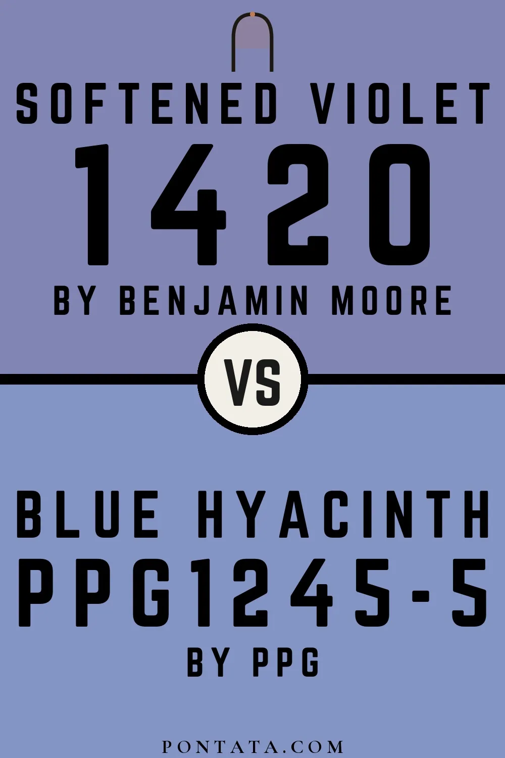 Softened Violet vs Blue Hyacinth