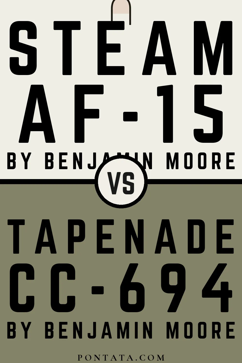 Steam vs Tapenade
