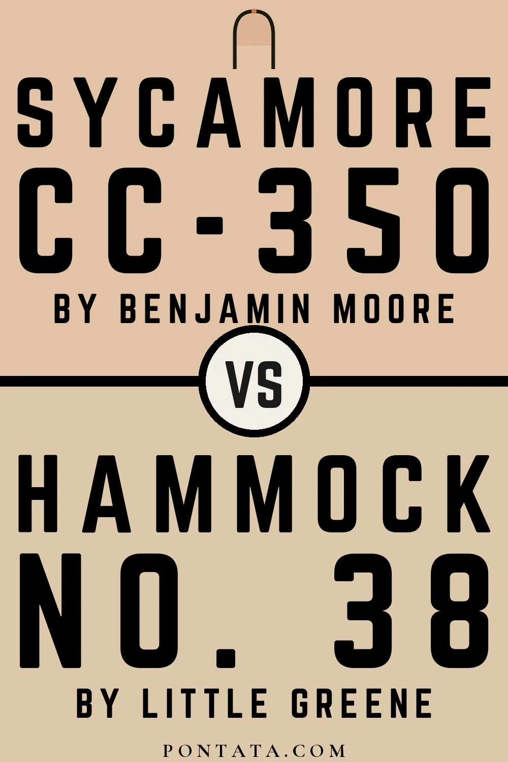 Sycamore vs Hammock