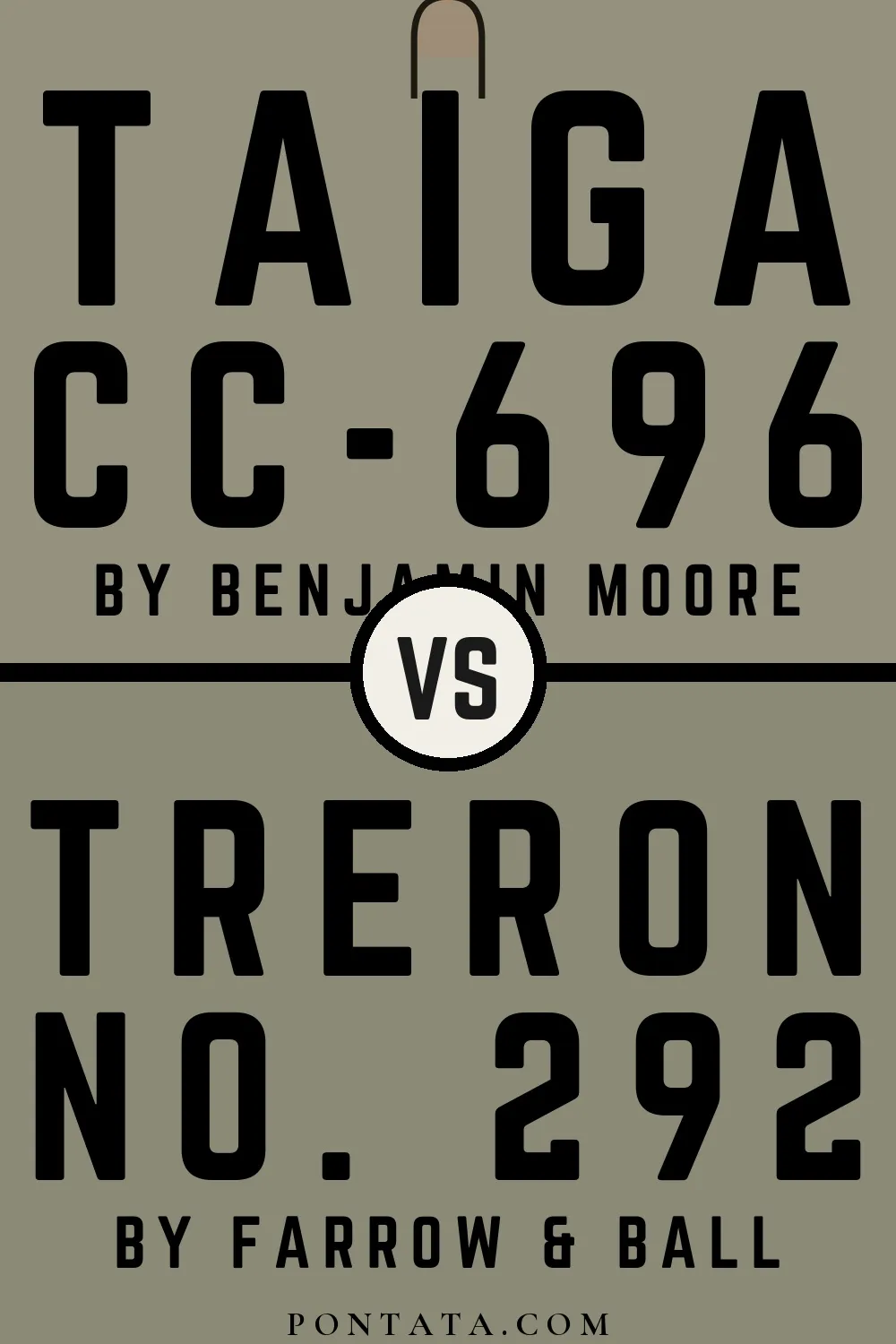 Taiga vs Treron