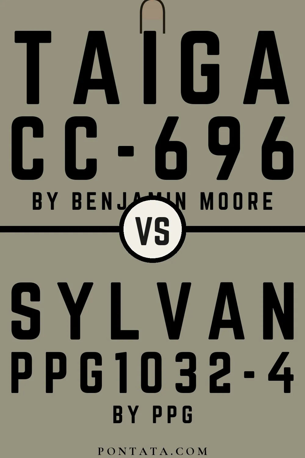 Taiga vs Sylvan