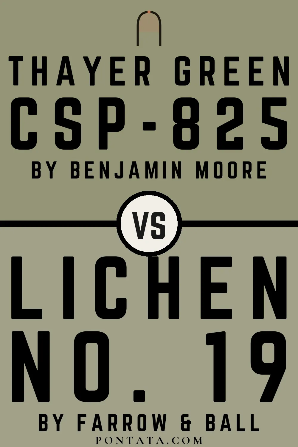 Thayer Green vs Lichen