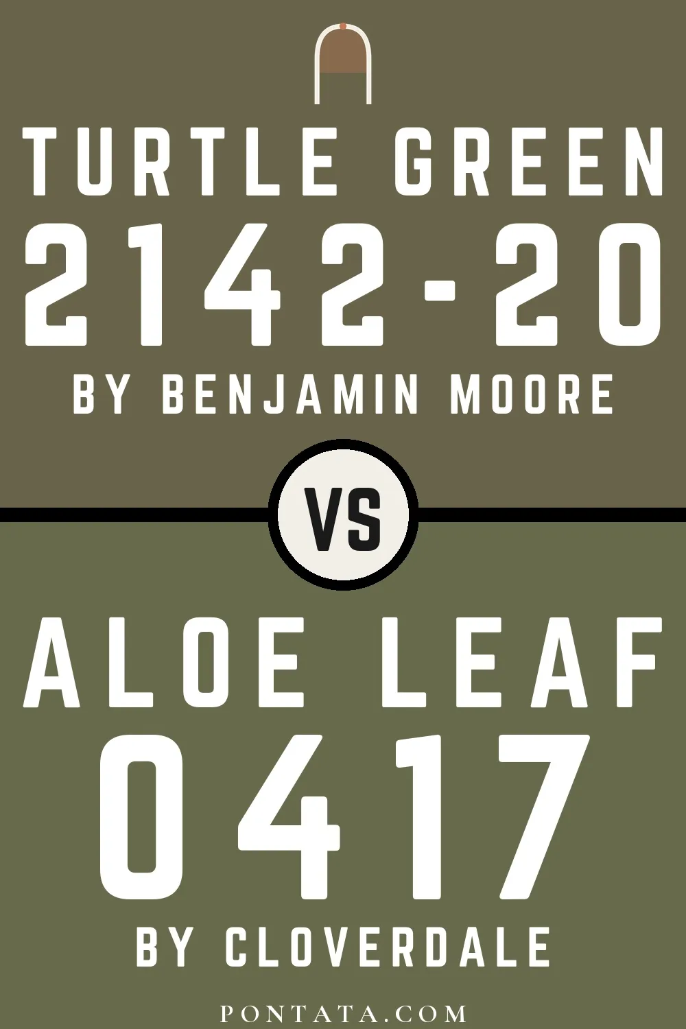 Turtle Green vs Aloe Leaf