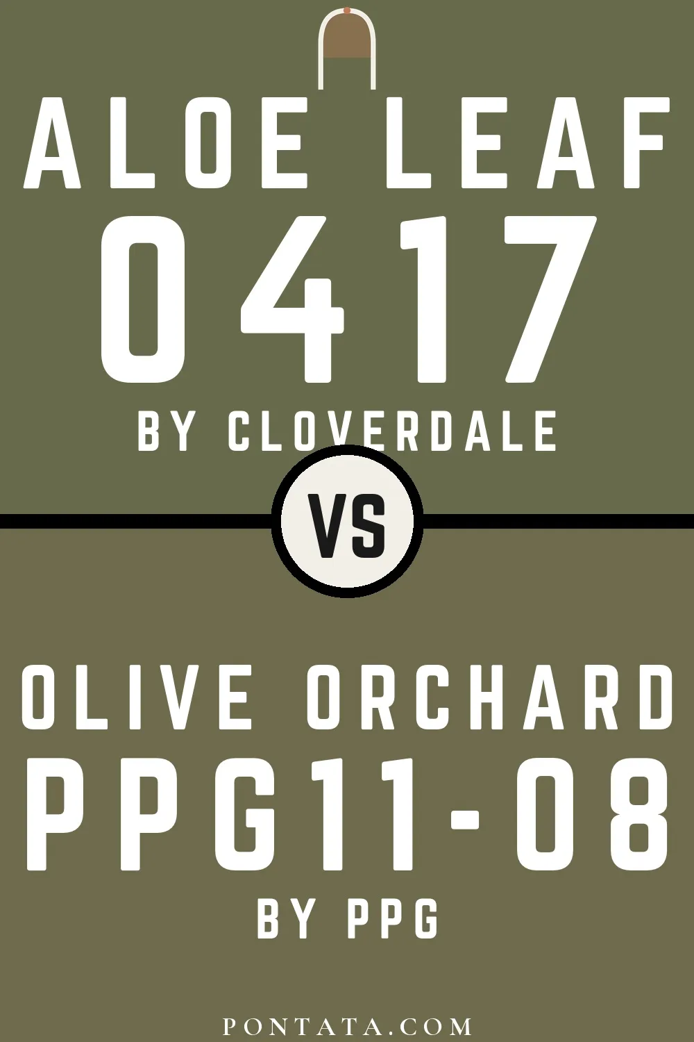 Aloe Leaf vs Olive Orchard