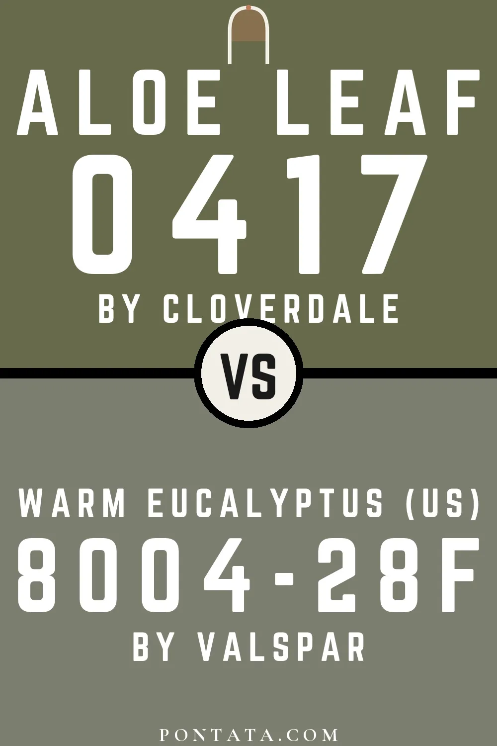 Aloe Leaf vs Warm Eucalyptus (US)