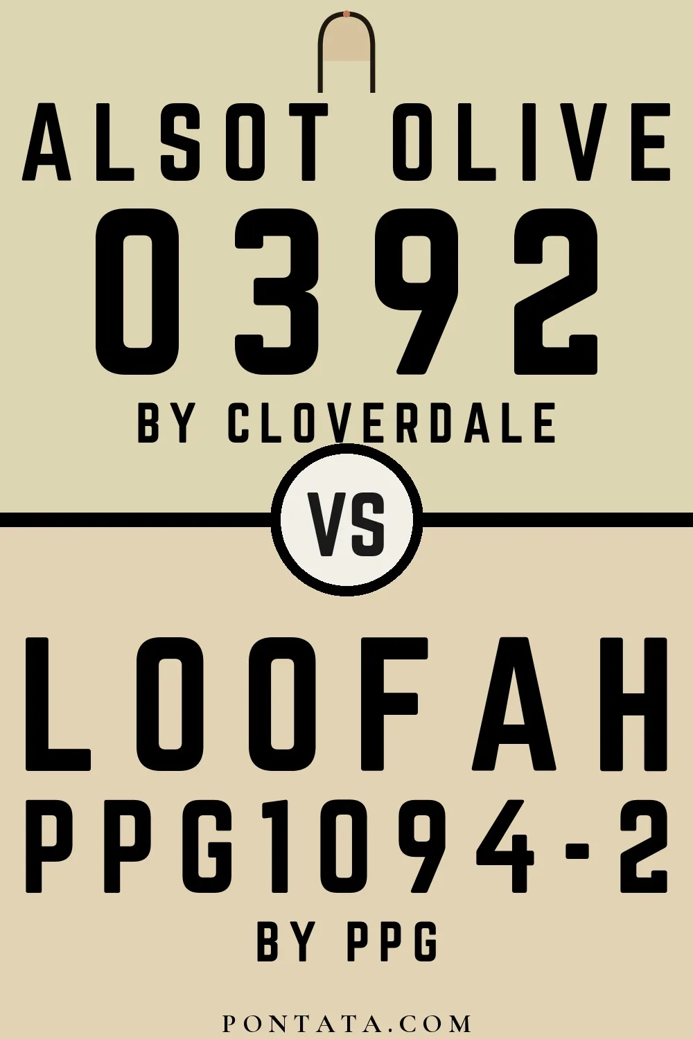 Alsot Olive vs Loofah