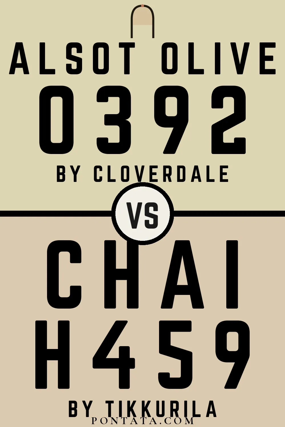 Alsot Olive vs Chai