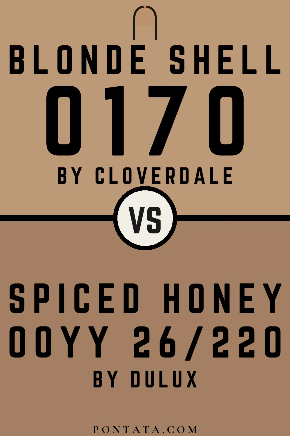 Blonde Shell vs Spiced Honey
