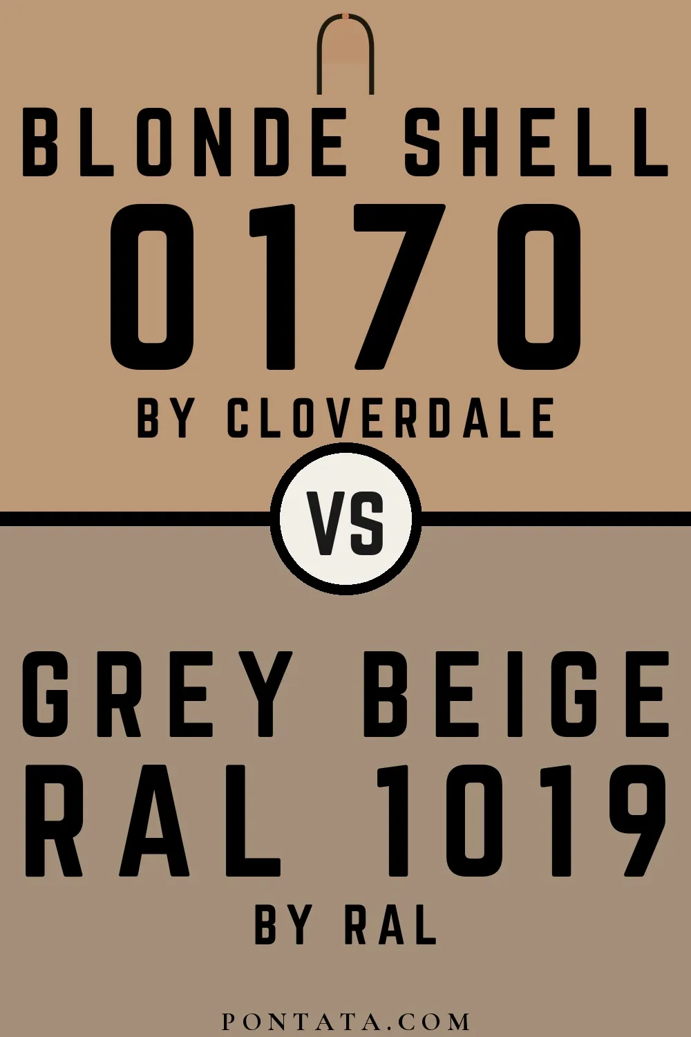 Blonde Shell vs Grey beige