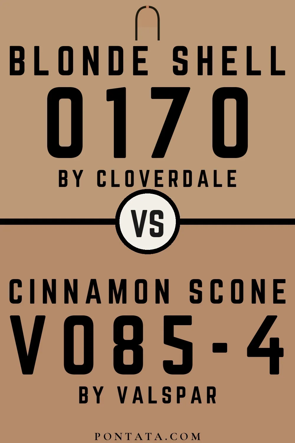 Blonde Shell vs Cinnamon Scone
