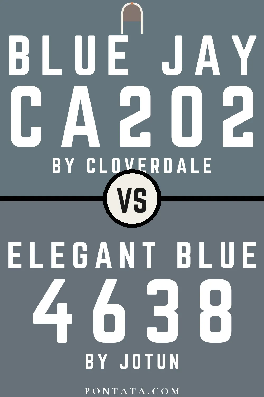 Blue Jay vs Elegant Blue