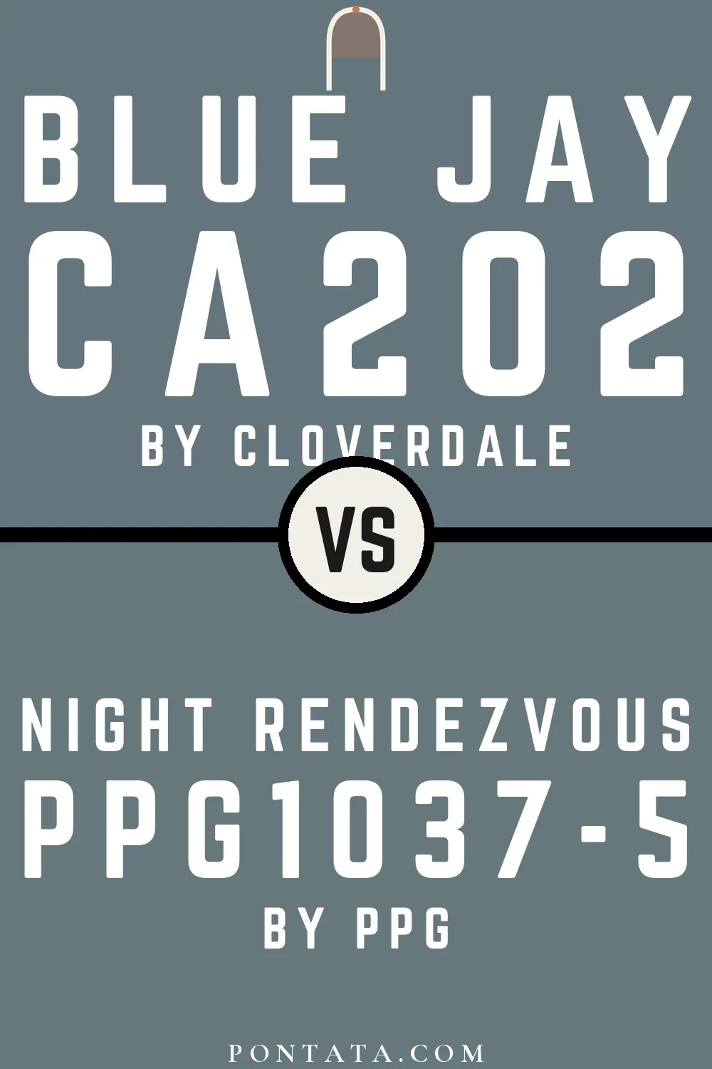 Blue Jay vs Night Rendezvous