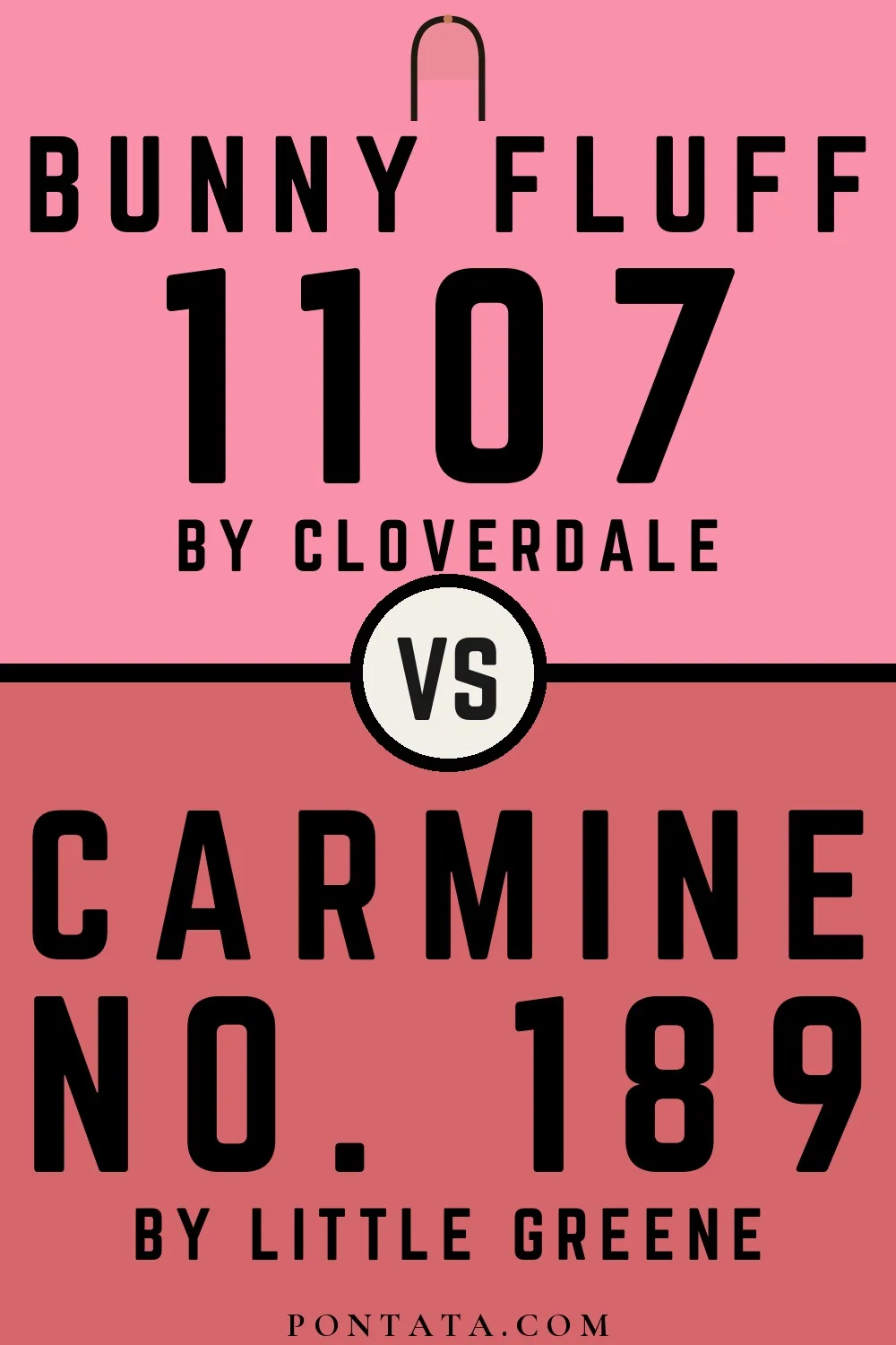 Bunny Fluff vs Carmine