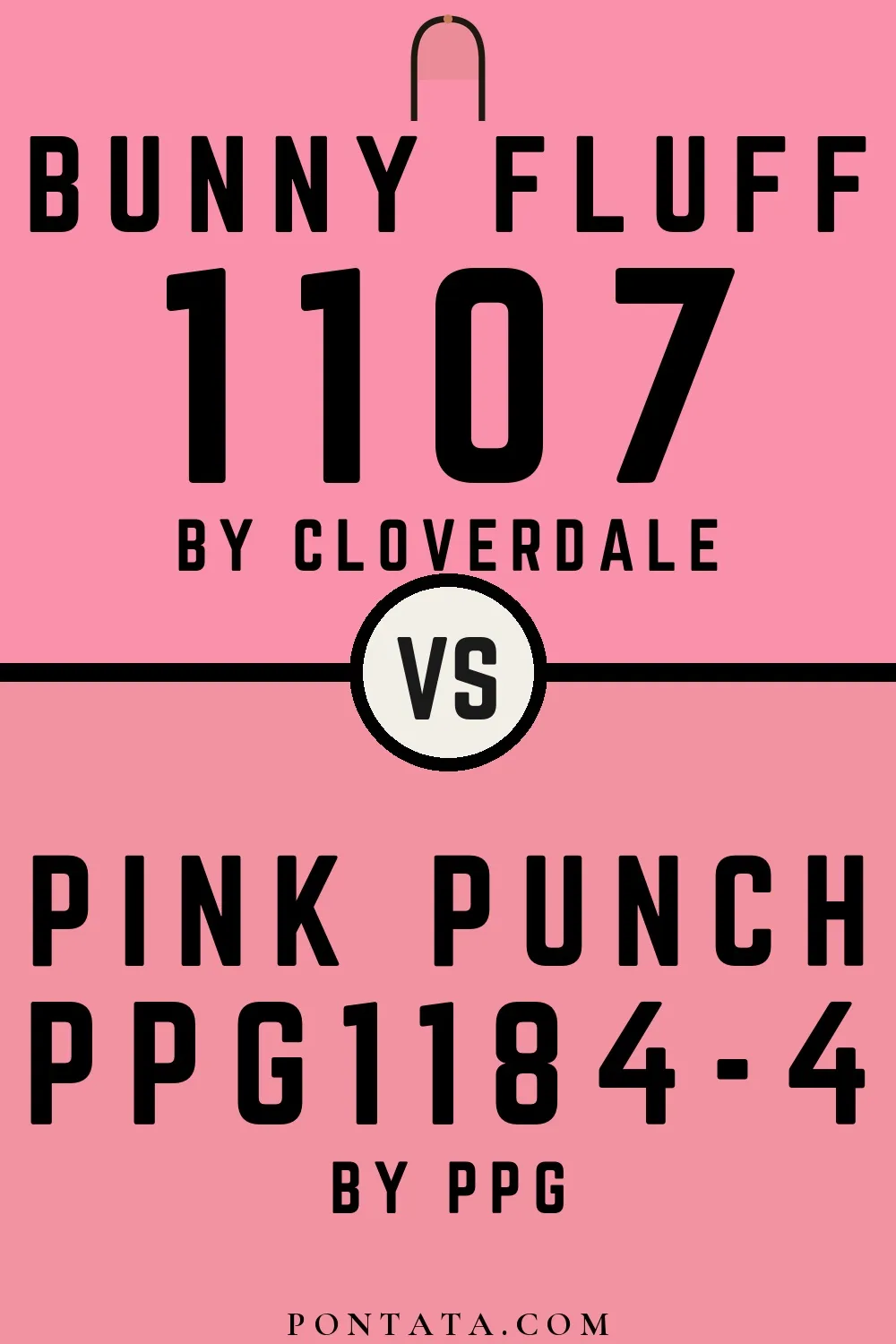 Bunny Fluff vs Pink Punch