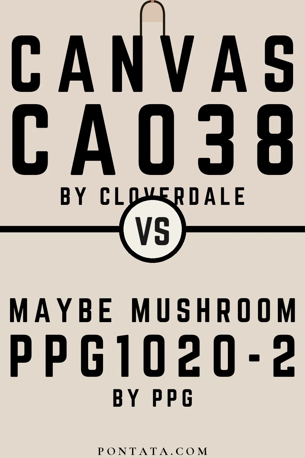 Canvas vs Maybe Mushroom