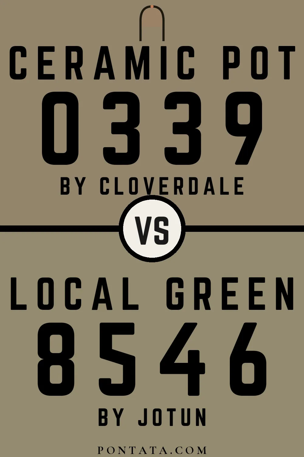 Ceramic Pot vs Local Green