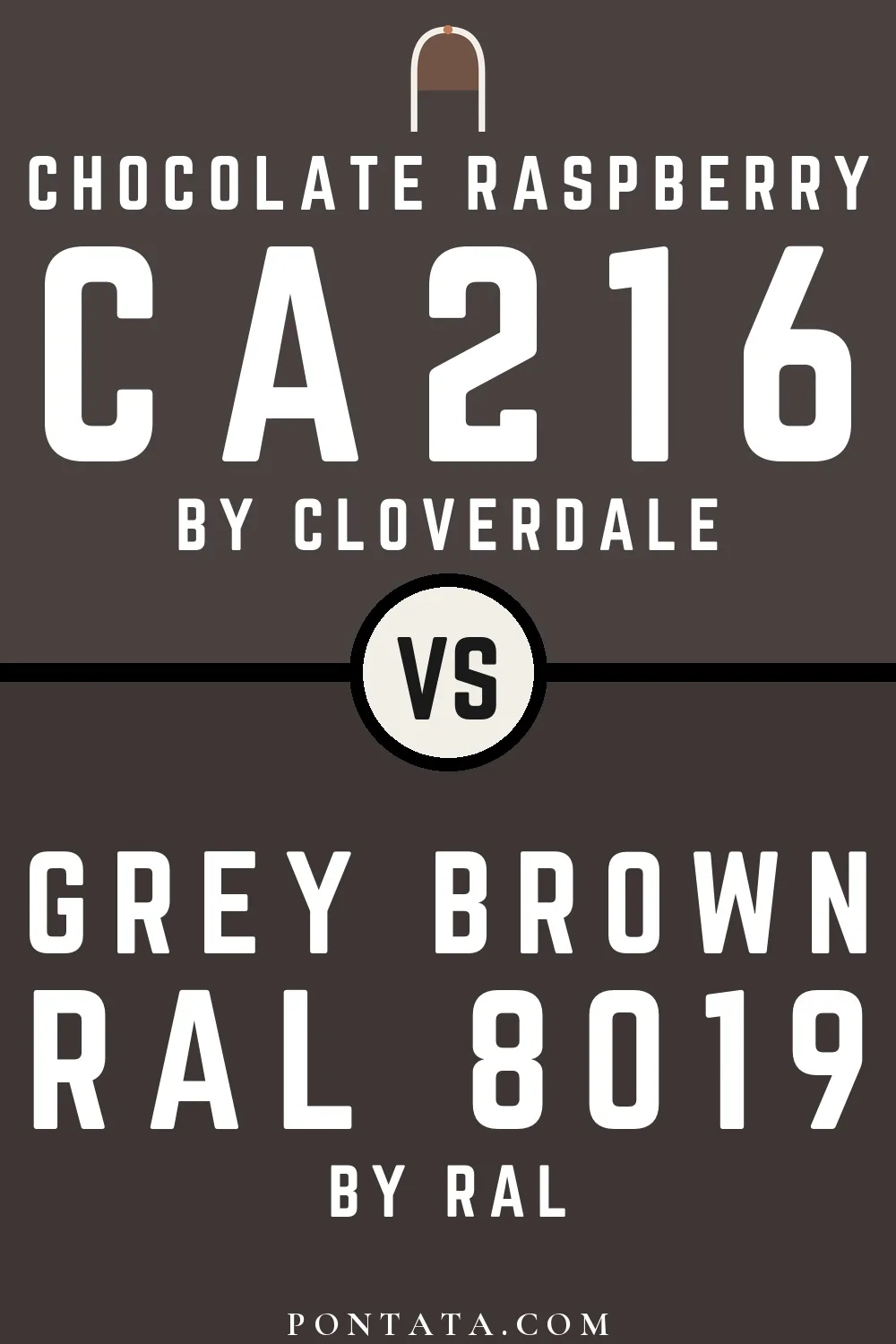 Chocolate Raspberry vs Grey brown