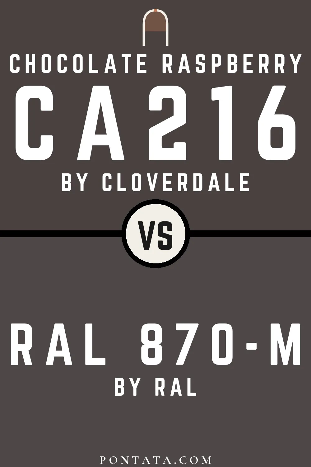 Chocolate Raspberry vs RAL 870-M