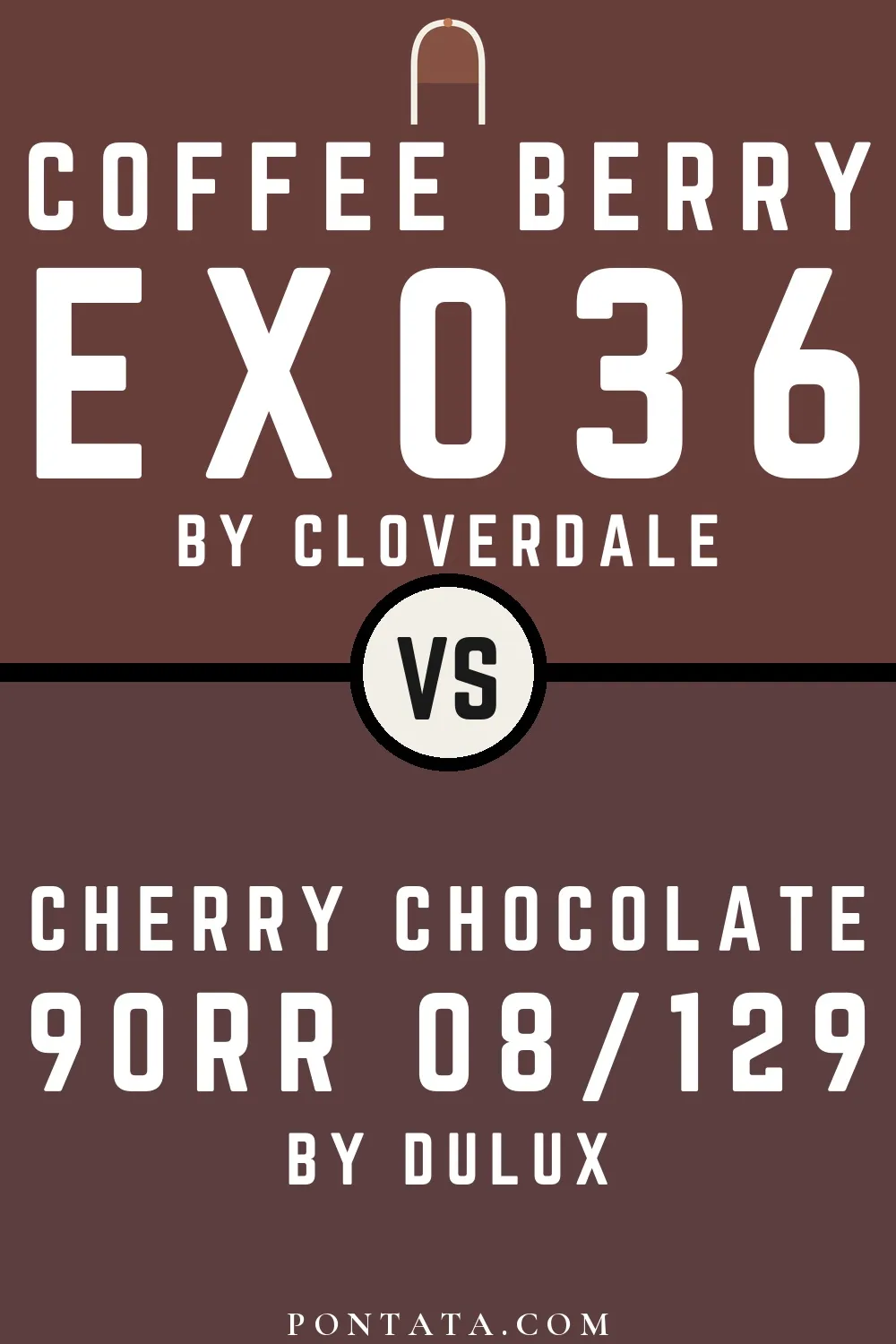 Coffee Berry vs Cherry Chocolate