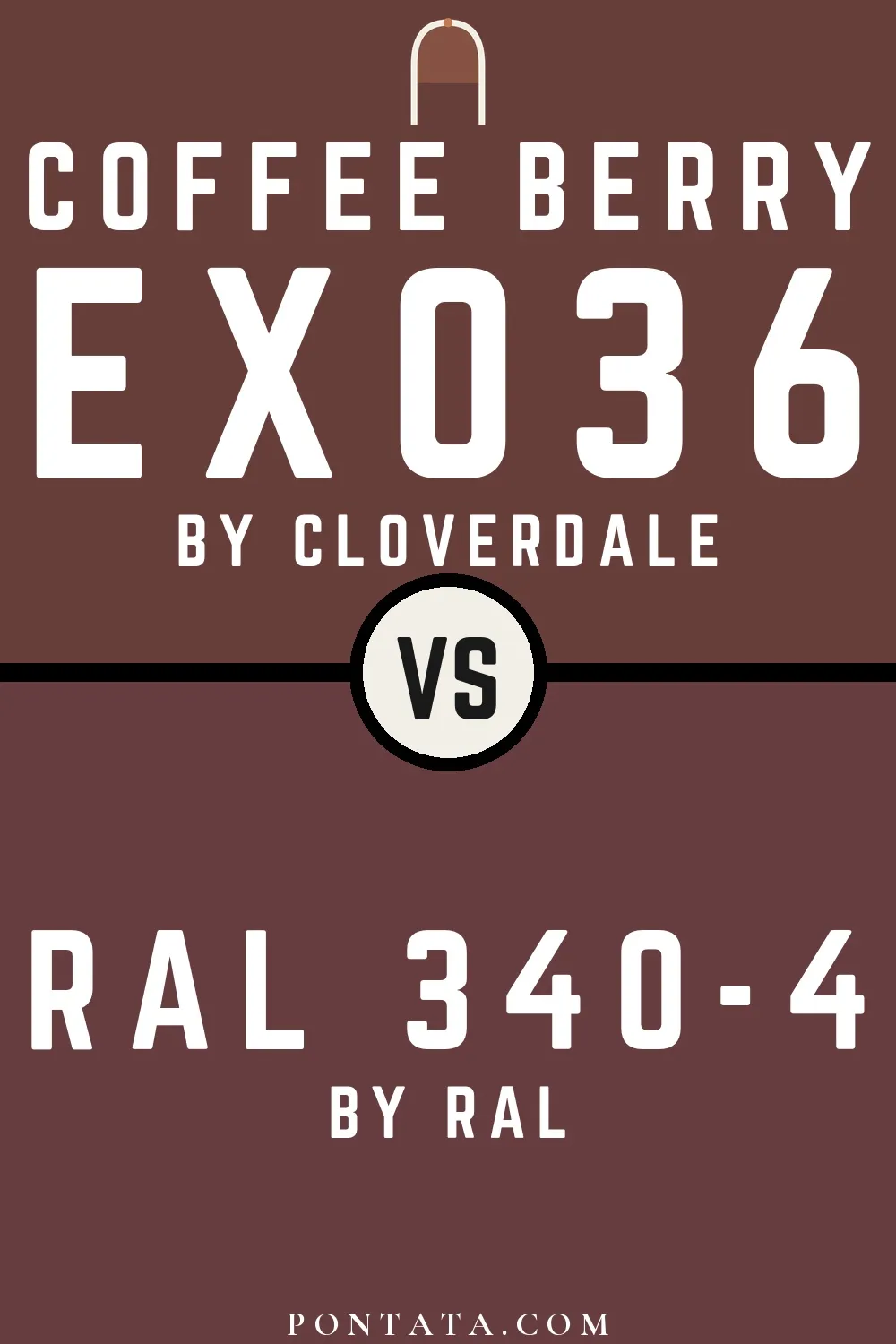 Coffee Berry vs RAL 340-4