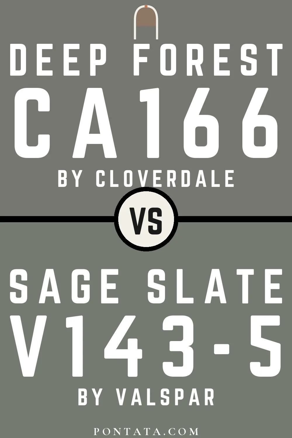 Deep Forest vs Sage Slate