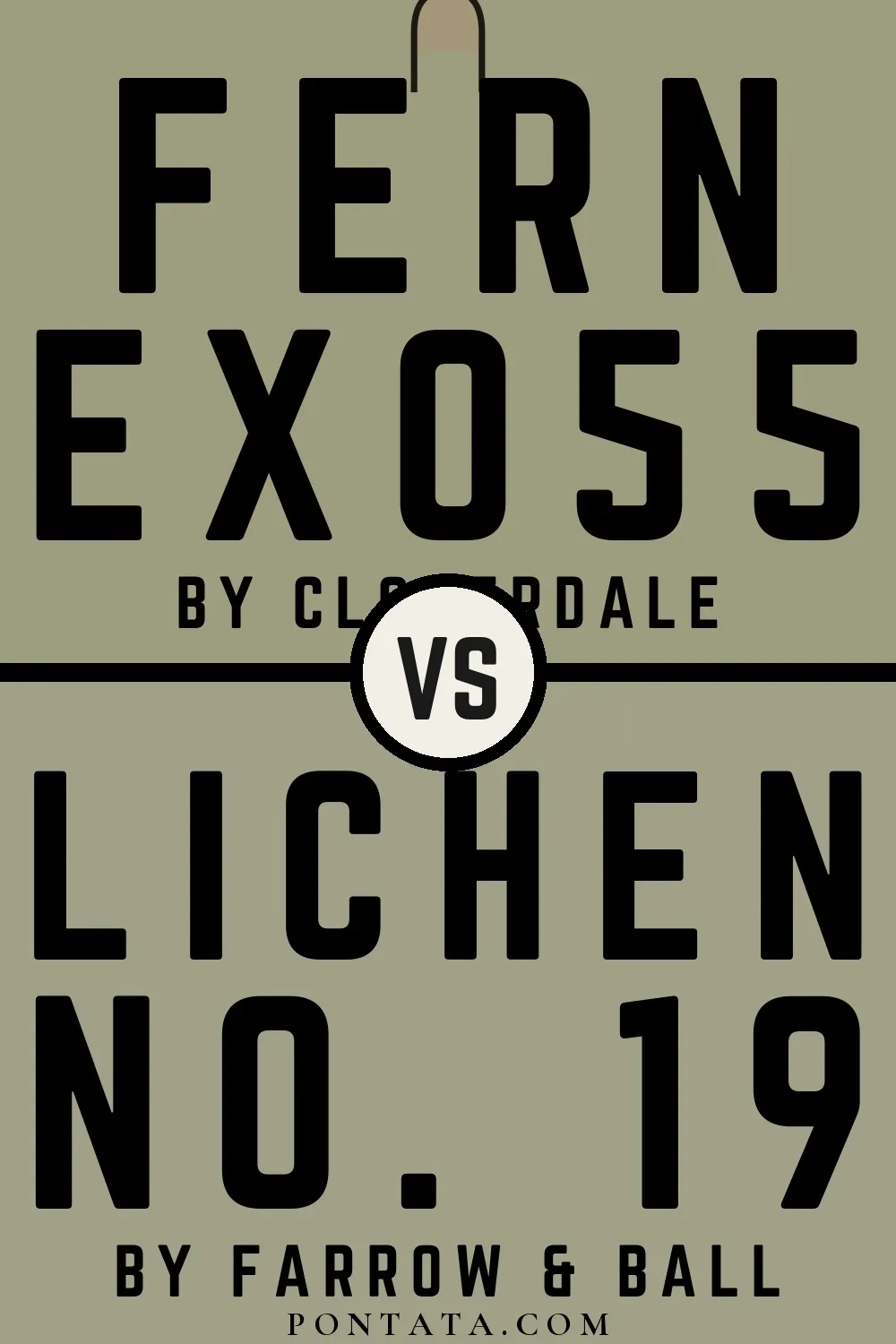 Fern vs Lichen
