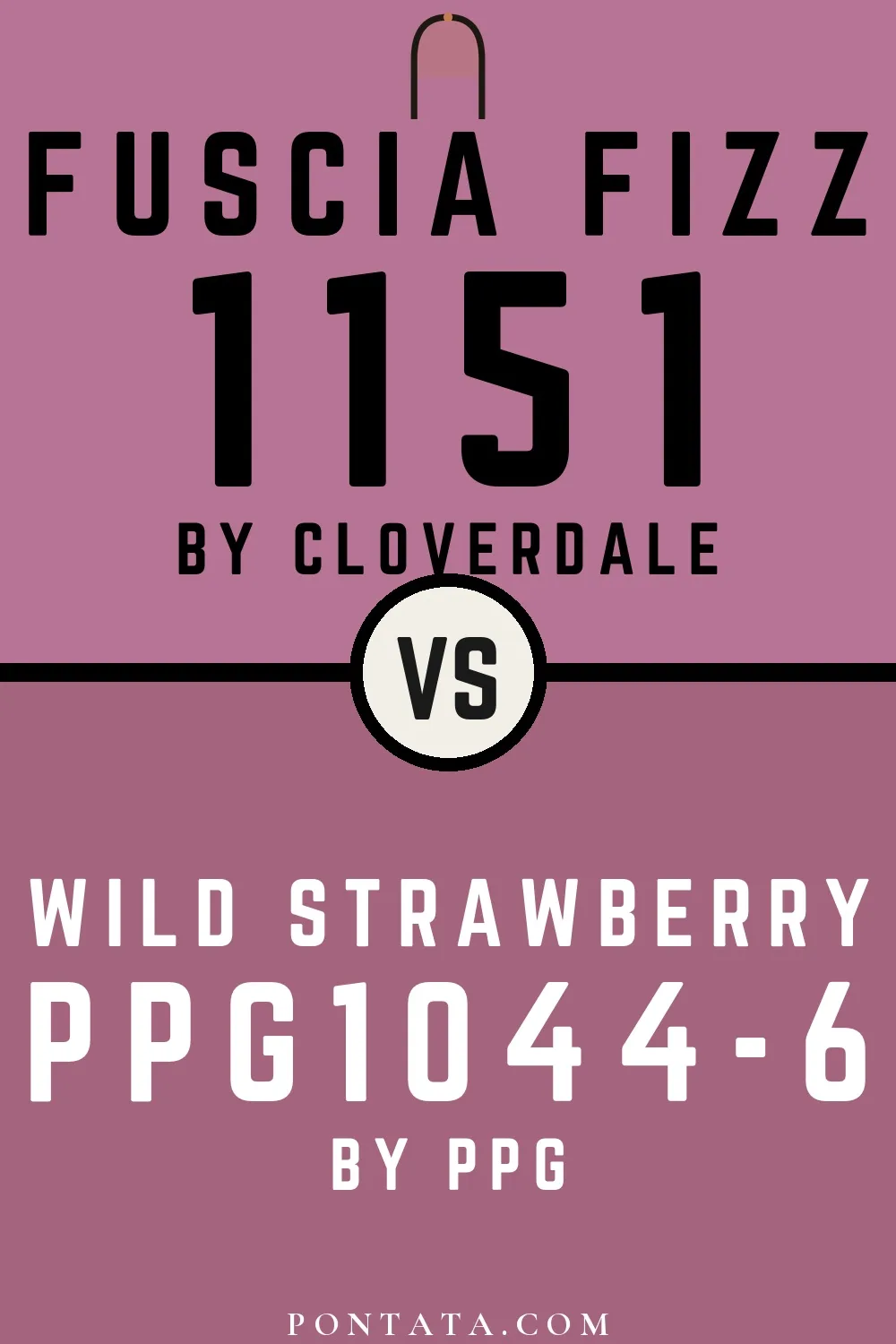Fuscia Fizz vs Wild Strawberry