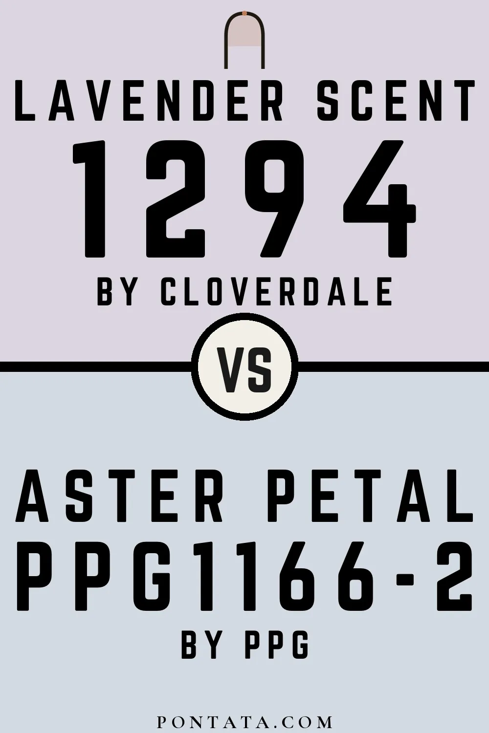 Lavender Scent vs Aster Petal