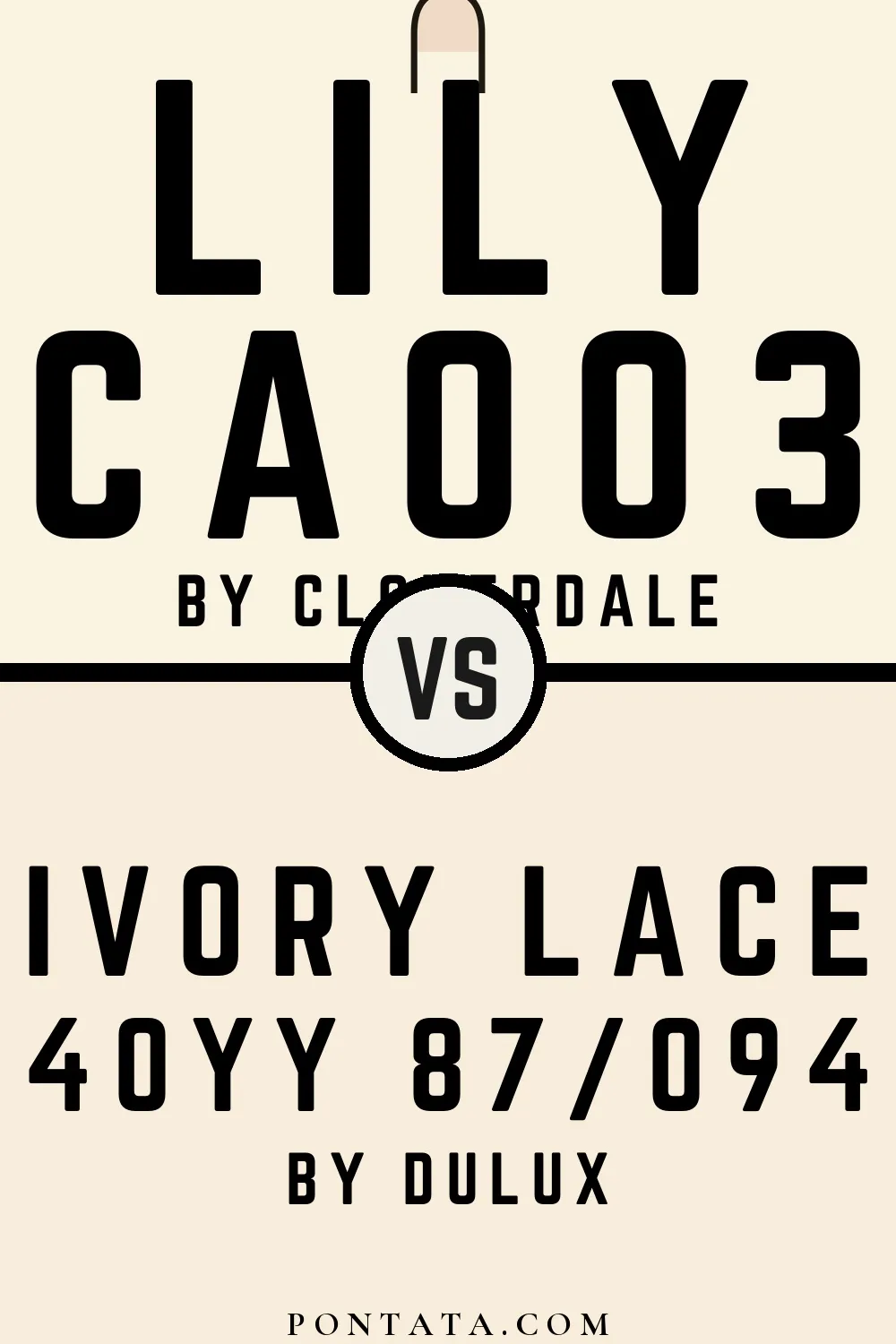 Lily vs Ivory Lace