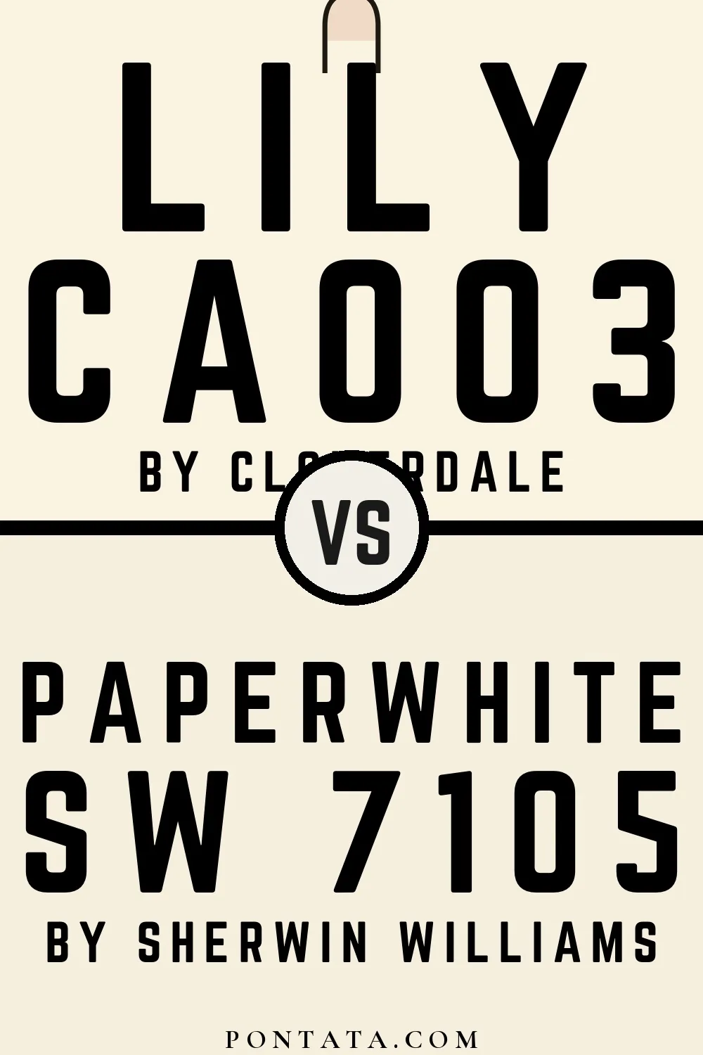 Lily vs Paperwhite