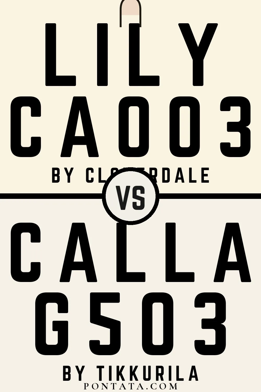 Lily vs Calla