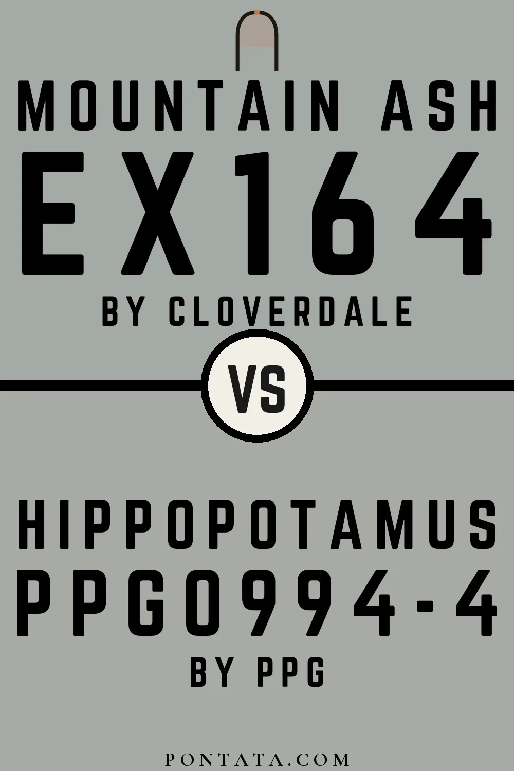 Mountain Ash vs Hippopotamus
