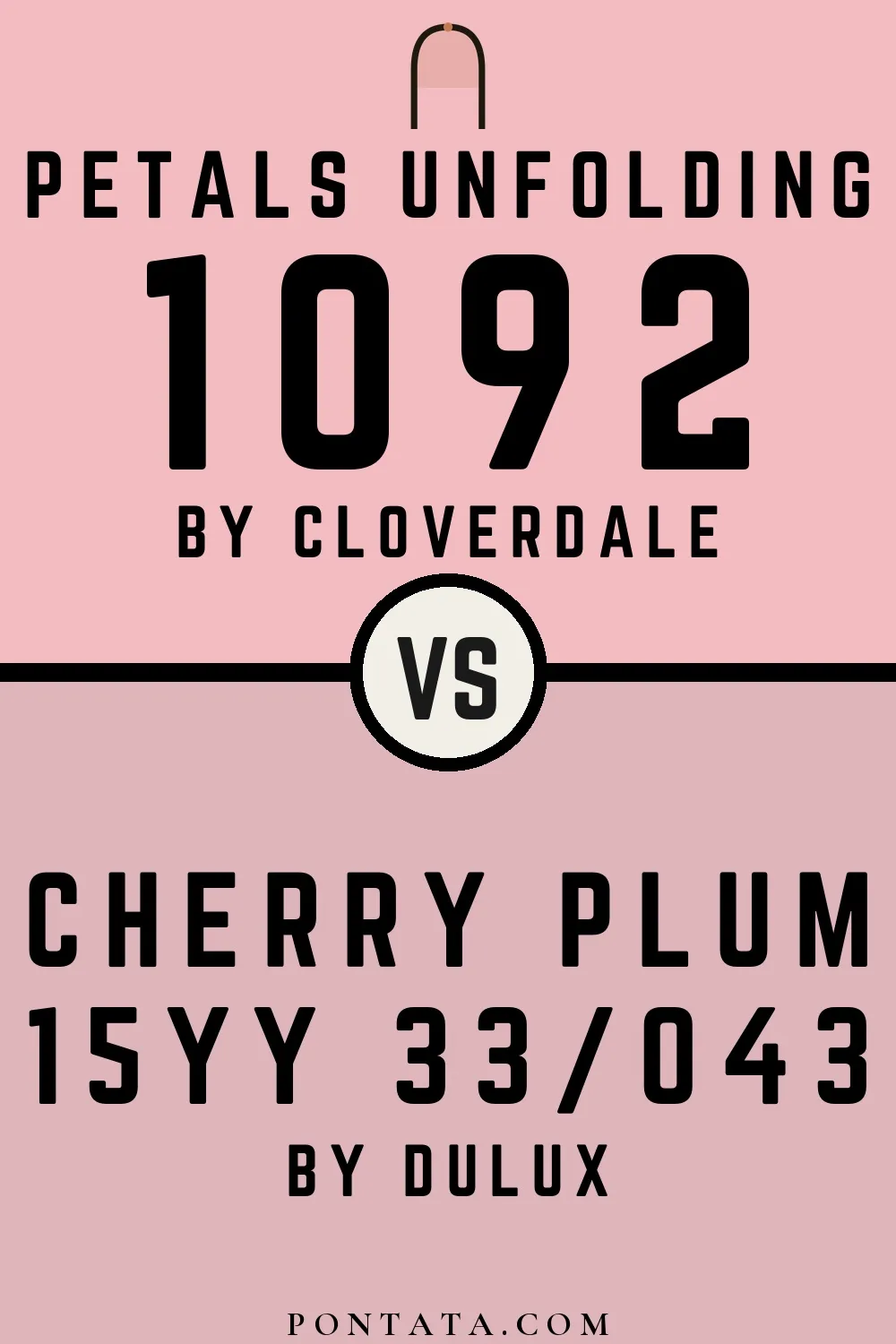 Petals Unfolding vs Cherry Plum