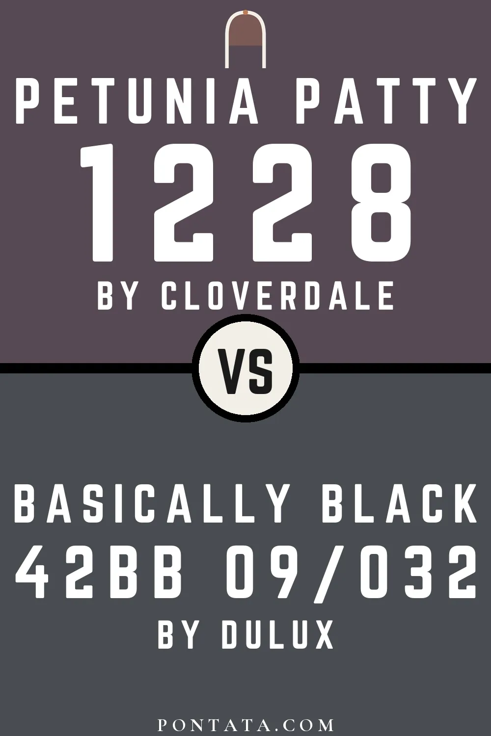 Petunia Patty vs Basically Black