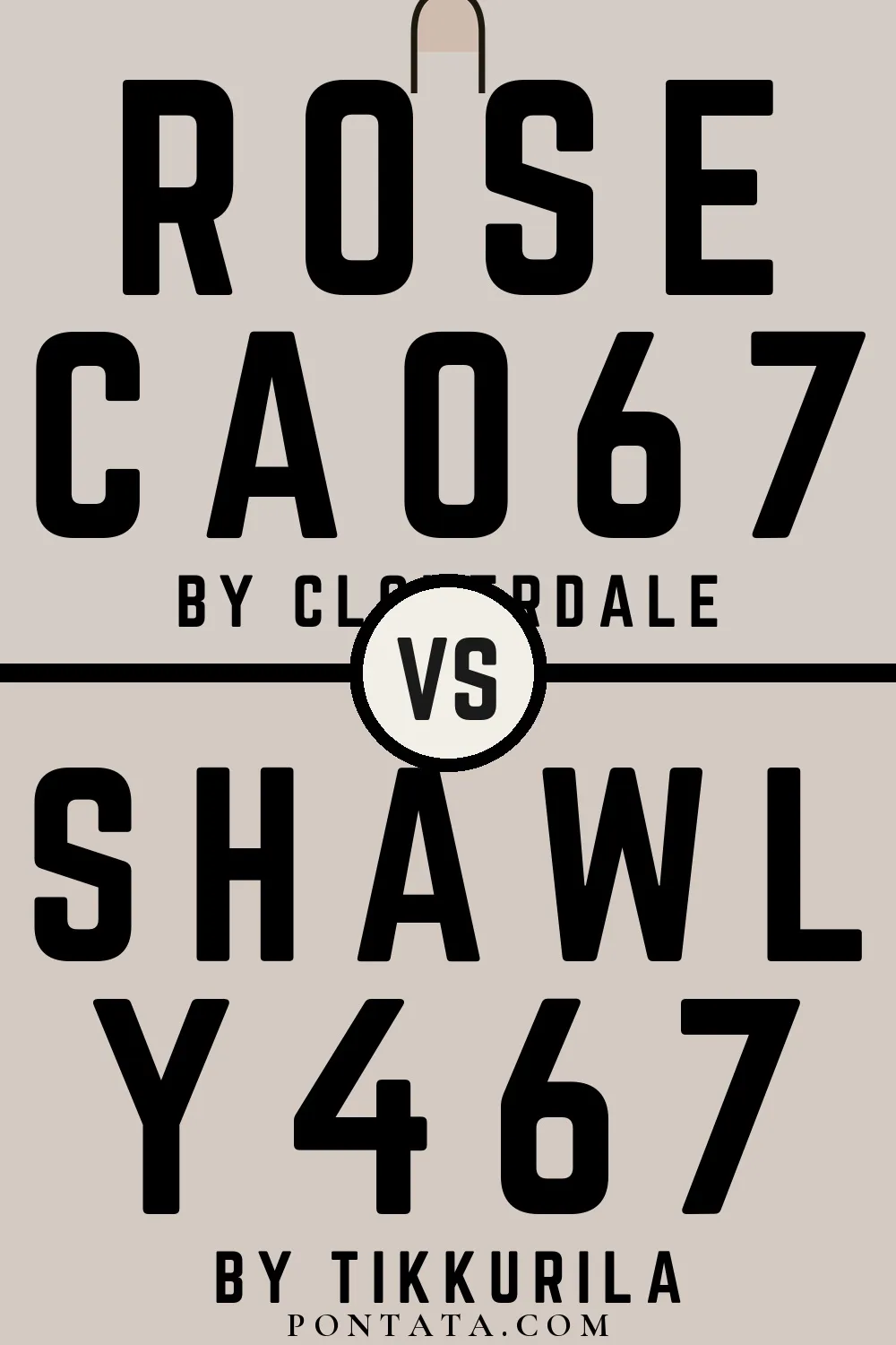 Rose vs Shawl