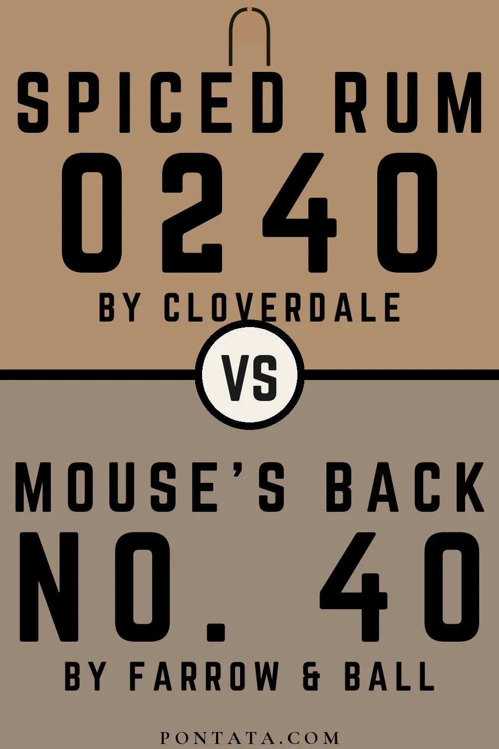 Spiced Rum vs Mouse's Back