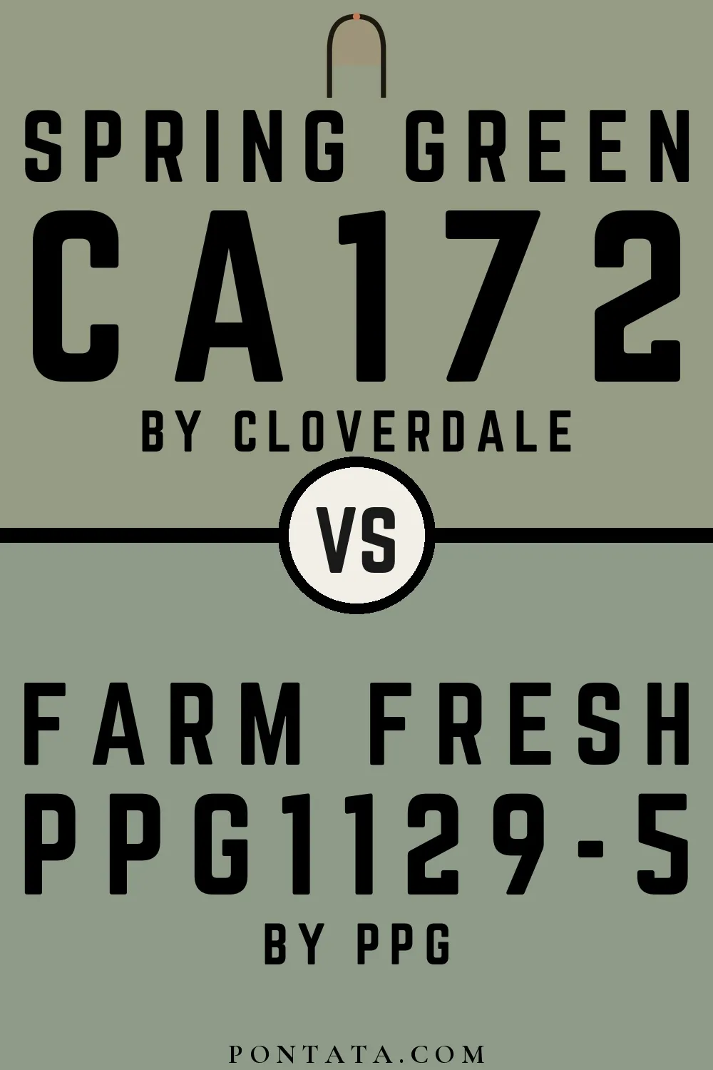 Spring Green vs Farm Fresh