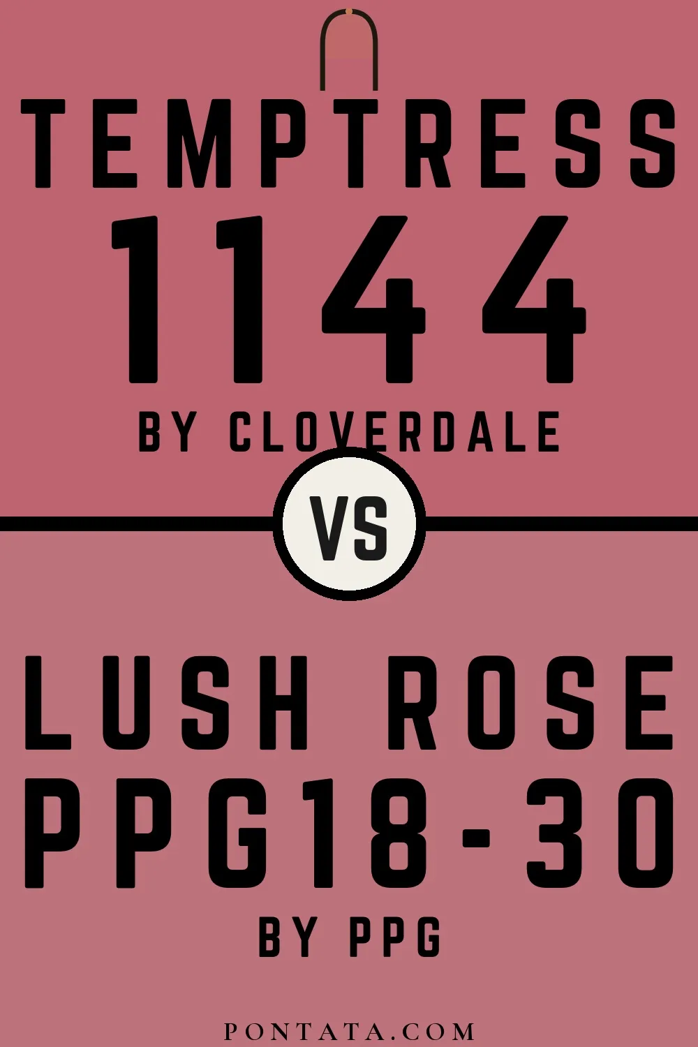 Temptress vs Lush Rose