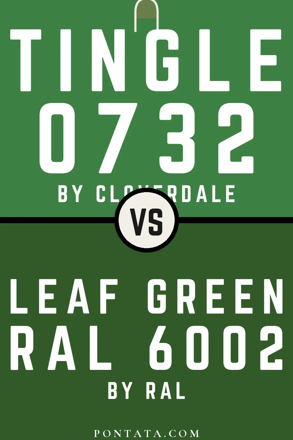 Tingle vs Leaf green
